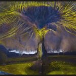 De sublimes maravilhas naturais à devastação global, os indicados do Drone Photo Awards de 2024