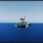 10 imagens do Ocean Photographer of the Year 2024