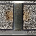 Finas lascas desprendem-se dos livros alterados por Barbara