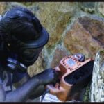 Jessica transforma milhares de lápis em esculturas orgânicas