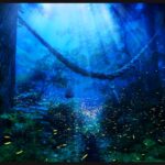 As fotos de Koseki capturam as florestas do Japão iluminadas por vaga-lumes