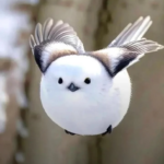 A Delicada Beleza do Shima-enaga: A Fada da Neve do Japão