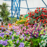 Jardins e mosaicos botânicos em blocos