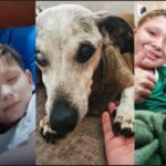 ‘Esse aqui é o Boby, meu melhor amigo’ disse Daniel, e emocionou a web