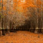 10 fotografias onde a ficção encontra seu sentido