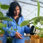Mariangela Hungria torna-se primeira brasileira a conquistar o Nobel da Agricultura