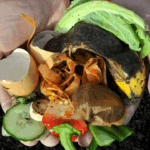 Compostagem Doméstica: Transformando Lixo em Adubo