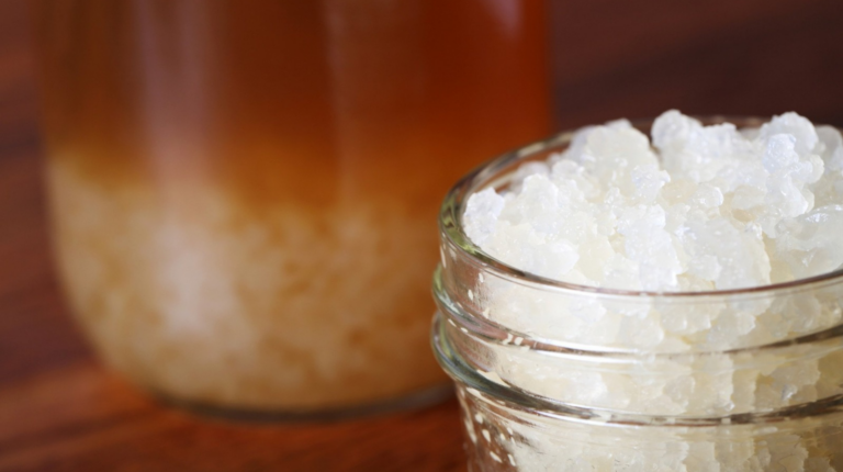 Kefir de Água: guia prático de cultivo e benefícios probióticos