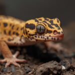 O Geco-Satânico de Madagascar