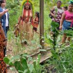 Projeto resgata conhecimentos das mulheres apurinã sobre plantas medicinais na Terra Indígena Caititu