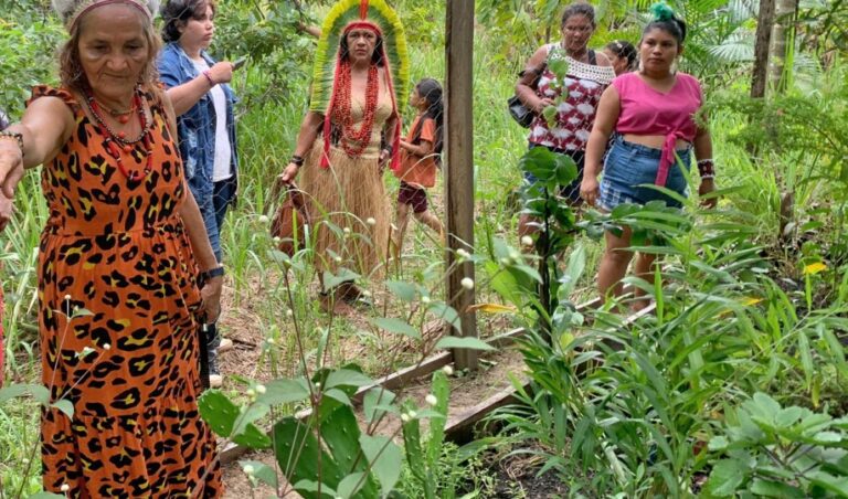 Projeto resgata conhecimentos das mulheres apurinã sobre plantas medicinais na Terra Indígena Caititu
