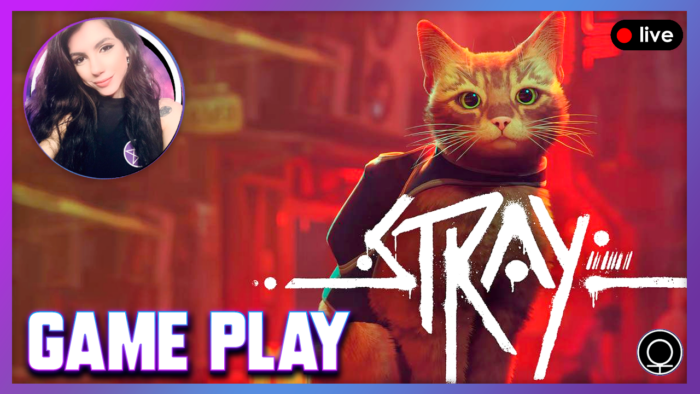 Círculo Responde – Game Play (Stray)