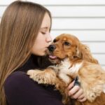 Amor em quatro patas