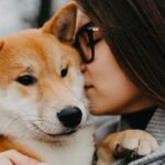 A lealdade e o afeto sincero dos cães de guarda