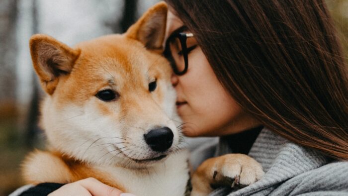 A lealdade e o afeto sincero dos cães de guarda