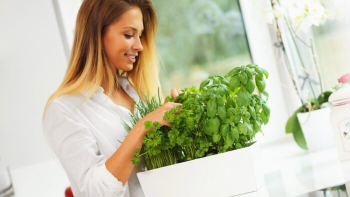 Como cultivar temperos básicos na cozinha