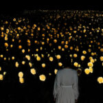 A teamLab ilumina o Jardim Botânico de Osaka com 20.000 girassóis brilhantes