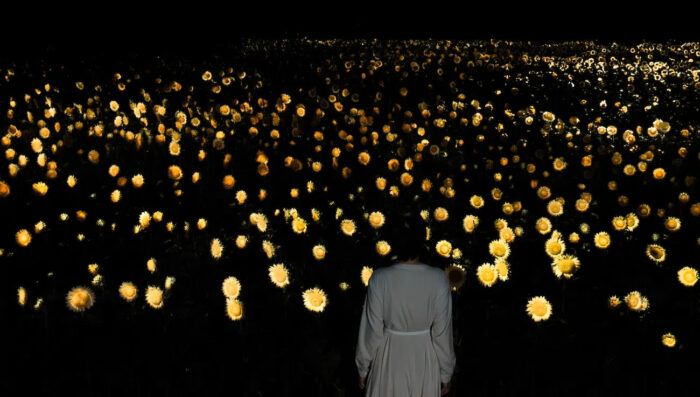 A teamLab ilumina o Jardim Botânico de Osaka com 20.000 girassóis brilhantes